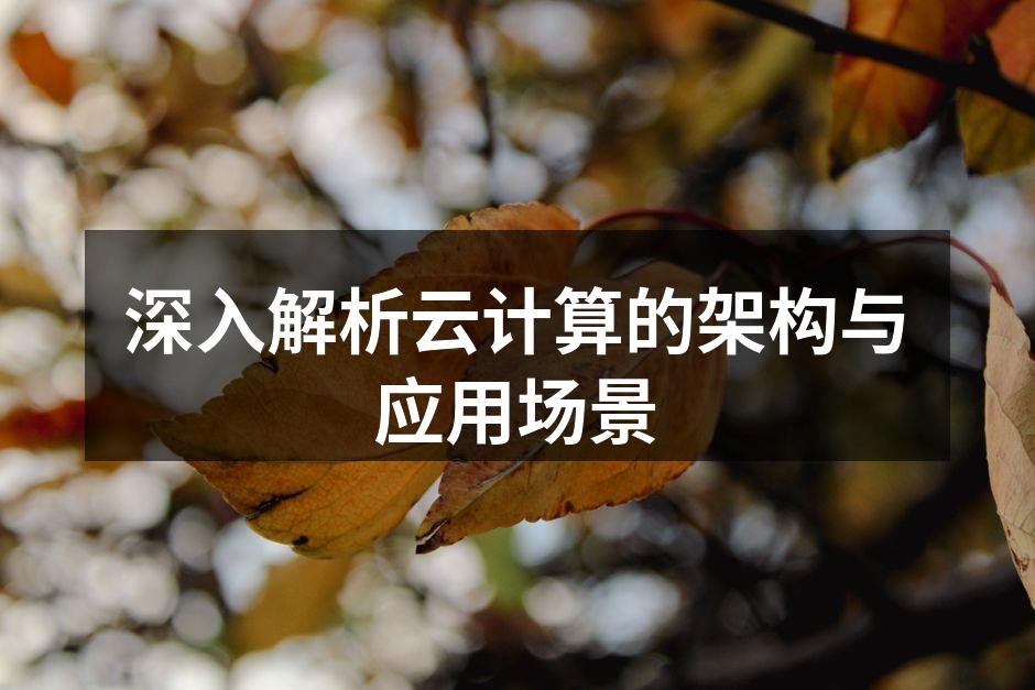 深入解析云计算的架构与应用场景
